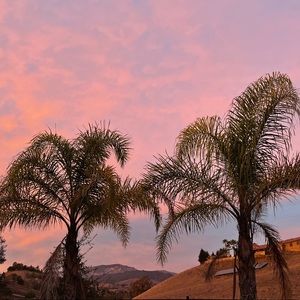 Meet your Posher, Karina